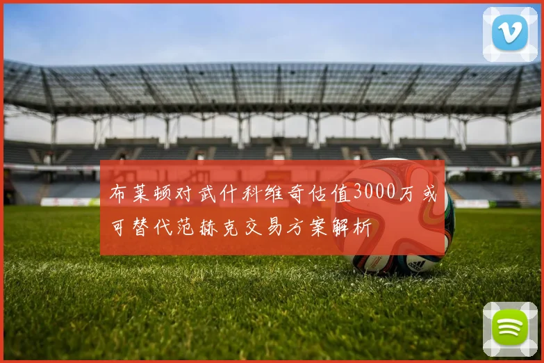 布莱顿对武什科维奇估值3000万或可替代范赫克交易方案解析