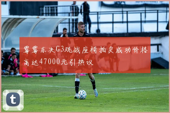 霉霉东决G3观战座椅拍卖成功价格高达47000元引热议