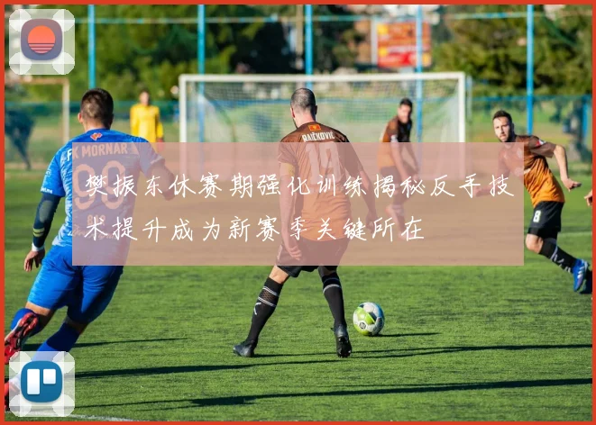 樊振东休赛期强化训练揭秘反手技术提升成为新赛季关键所在