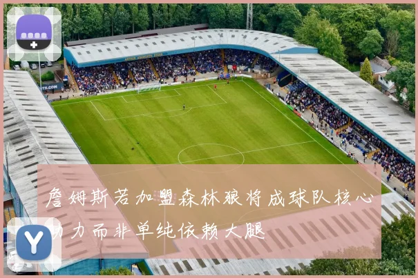 詹姆斯若加盟森林狼将成球队核心助力而非单纯依赖大腿