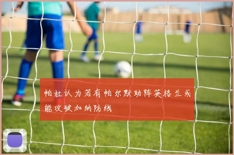 帕杜认为若有帕尔默助阵英格兰或能攻破加纳防线
